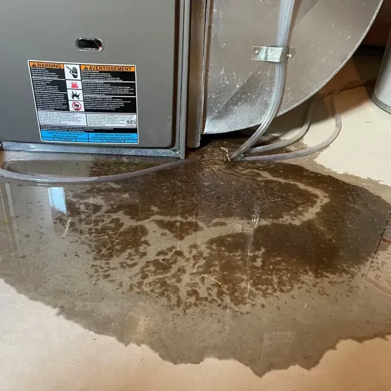 Appliance Leak Cleanup in Salineville, OH